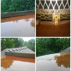 roof inspection and chimney safety for Florida Ohio and Michigan roof inspection and chimney safety for Florida Ohio and Michigan